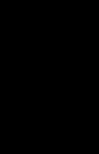 9645626617