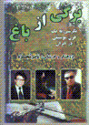9645562066